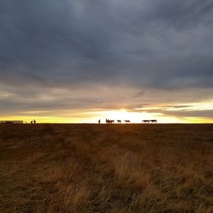 Meet your Posher, Heidi